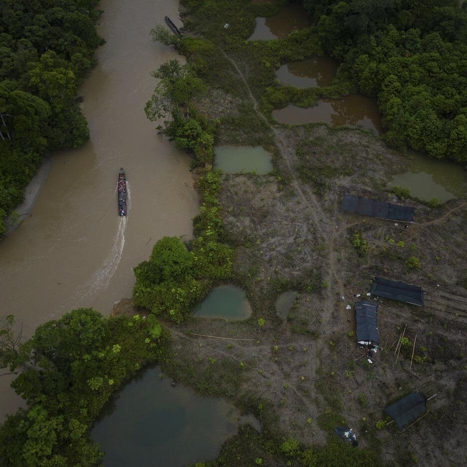 Colombia lost huge area to deforestation in 6 months, public watchdog report warns